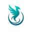 CTools Logo